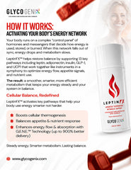 LeptinFX
