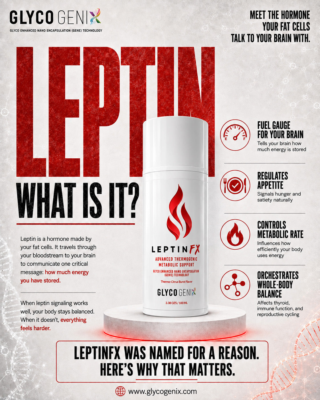 LeptinFX